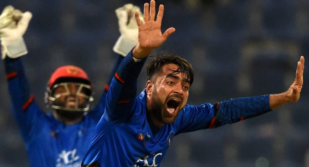 Glenn Maxwell hoping to draw on BBL experience to neutralise Rashid Khan